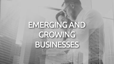 Emerging and Growing Business