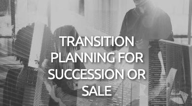 Transition Planning for Succession or Sale